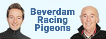 Beverdam Racing Pigeons