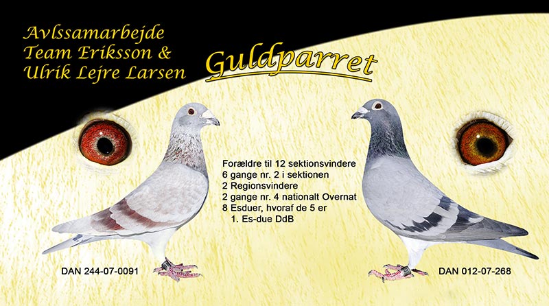 guldparret1