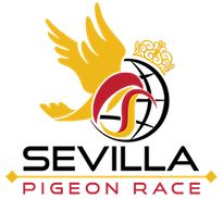 Sevilla Pigeon Race 2020
