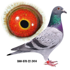 DAN-070-22-2414
