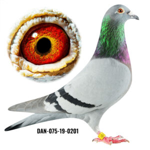 DAN-075-19-0201