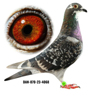 DAN-070-23-4068