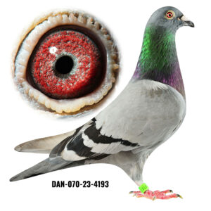 DAN-070-23-4193