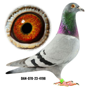 DAN-070-23-4198