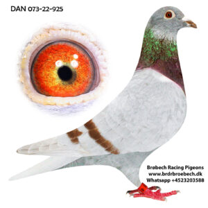 DAN-073-22-0925