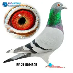 BE-21-5074505