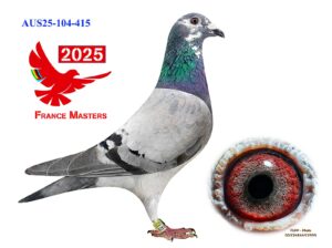 AU-104-25-415