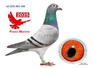 AU-301-25-104