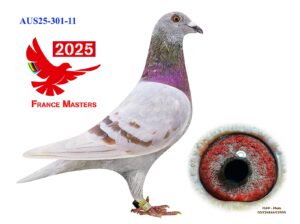 AU-301-25-11