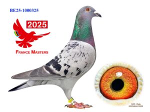BE-25-1000325