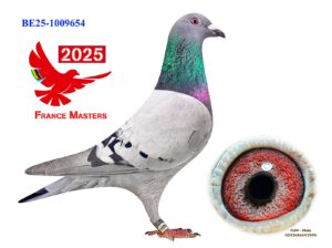 BE-25-1009654