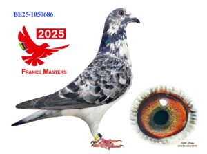 BE-25-1050688