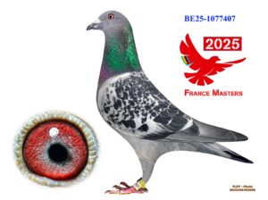 BE-25-1077407