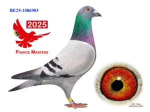 BE-25-1086903