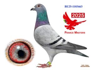 BE-25-1103663