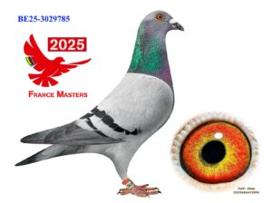 BE-25-3029785