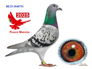BE-25-3048751