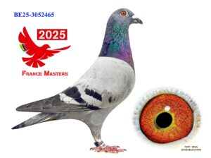 BE-25-3052465