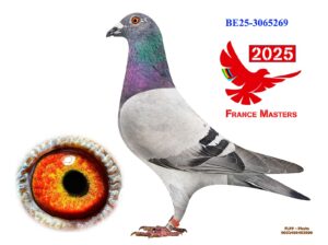 BE-25-3065269