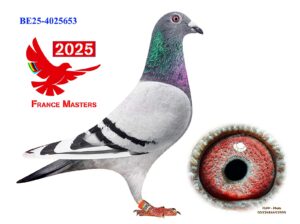 BE-25-4025653
