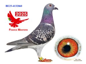 BE-25-4132860