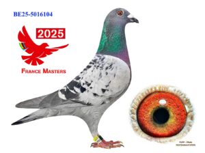 BE-25-5016104
