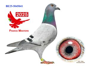 BE-25-5045041