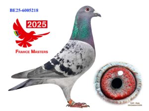 BE-25-6005218