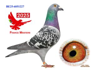 BE-25-6051227