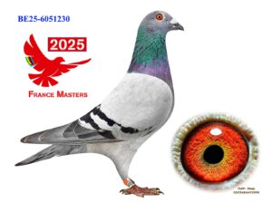 BE-25-6051230