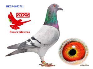 BE-25-6052711