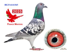BE-25-6141365