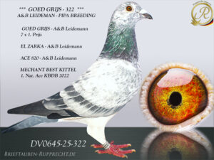 DV-00645-25-322