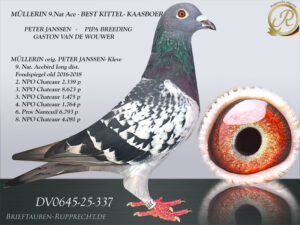 DV-00645-25-337