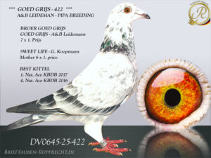 DV-00645-25-422