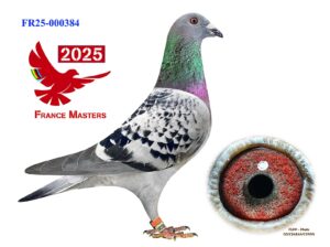FR-25-000384