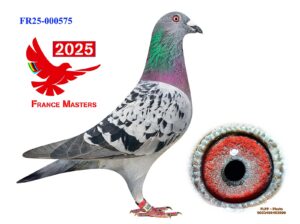 FR-25-000575