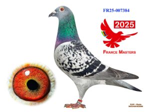 FR-25-007384