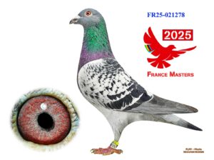 FR-25-021278