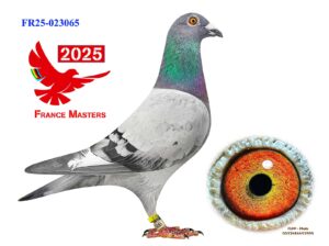 FR-25-023065