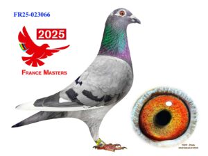 FR-25-023066