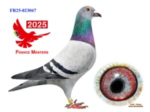 FR-25-023067