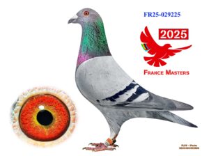FR-25-029225