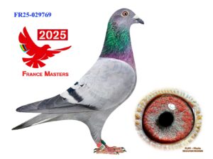 FR-25-029769