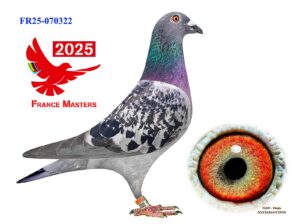 FR-25-070322