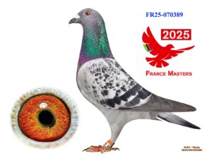 FR-25-070389