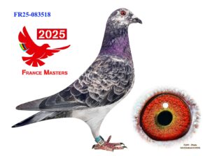 FR-25-083518