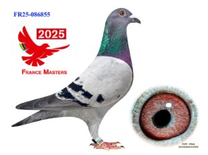 FR-25-086855