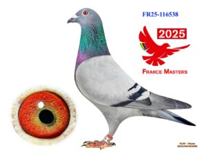FR-25-116538