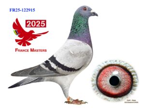 FR-25-122915